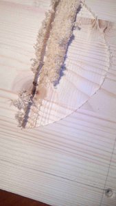 Испорченная заготовка (2804 просмотра) <a class='original' href='./download/file.php?id=125191&mode=view' target=_blank>Загрузить оригинал (184.09 КБ)</a>