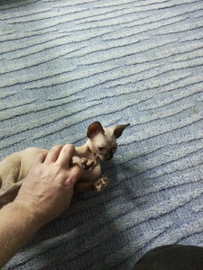 IMG_20171124_230257.jpg (3473 просмотра) <a class='original' href='./download/file.php?id=125302&mode=view' target=_blank>Загрузить оригинал (3.33 МБ)</a>