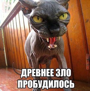 1foen517xk.jpg (1847 просмотров) <a class='original' href='./download/file.php?id=125616&mode=view' target=_blank>Загрузить оригинал (84.23 КБ)</a>