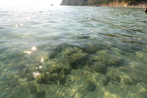 PS8A0308.JPG (6409 просмотров) <a class='original' href='./download/file.php?id=125906&mode=view' target=_blank>Загрузить оригинал (8.56 МБ)</a>