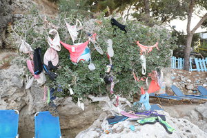 PS8A9723.JPG (11.94 МБ) 6733 просмотра Бюро находок по Гречески (6733 просмотра) <a class='original' href='./download/file.php?id=125916&sid=d593dd8ec828f2dcf81e451749d70436&mode=view' target=_blank>Загрузить оригинал (11.94 МБ)</a>