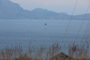 PS8A1127.JPG (6409 просмотров) <a class='original' href='./download/file.php?id=125924&mode=view' target=_blank>Загрузить оригинал (11 МБ)</a>