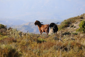 PS8A2130.JPG (6409 просмотров) <a class='original' href='./download/file.php?id=125927&mode=view' target=_blank>Загрузить оригинал (8.2 МБ)</a>