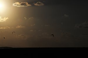 PS8A8902 — копия.JPG (6409 просмотров) <a class='original' href='./download/file.php?id=125934&mode=view' target=_blank>Загрузить оригинал (2.29 МБ)</a>