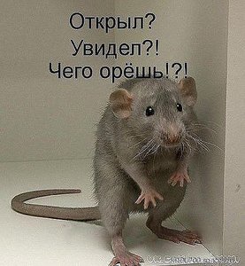 image.jpg (4276 просмотров) <a class='original' href='./download/file.php?id=126617&mode=view' target=_blank>Загрузить оригинал (51.35 КБ)</a>