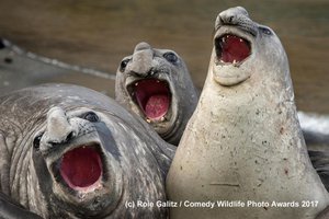 ооо.jpg (3657 просмотров) <a class='original' href='./download/file.php?id=127135&mode=view' target=_blank>Загрузить оригинал (376.02 КБ)</a>