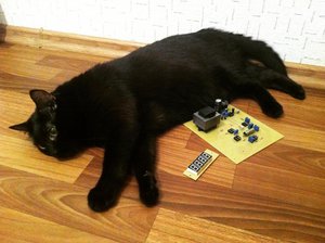 qHmYoDhWCrE.jpg (3665 просмотров) <a class='original' href='./download/file.php?id=127155&mode=view' target=_blank>Загрузить оригинал (87.78 КБ)</a>