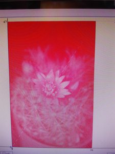 IMG_20171224_205030.jpg (2740 просмотров) <a class='original' href='./download/file.php?id=127667&mode=view' target=_blank>Загрузить оригинал (2.05 МБ)</a>