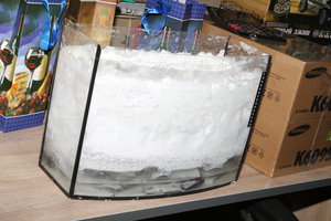 PS8A4876.JPG (9645 просмотров) <a class='original' href='./download/file.php?id=128022&mode=view' target=_blank>Загрузить оригинал (9.24 МБ)</a>