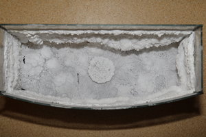 PS8A4893.JPG (9646 просмотров) <a class='original' href='./download/file.php?id=128024&mode=view' target=_blank>Загрузить оригинал (7.54 МБ)</a>