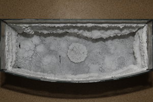 PS8A4895.JPG (9645 просмотров) <a class='original' href='./download/file.php?id=128025&mode=view' target=_blank>Загрузить оригинал (8.78 МБ)</a>