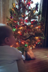 2017-12-20_11.08.58.jpg (4012 просмотров) <a class='original' href='./download/file.php?id=128085&mode=view' target=_blank>Загрузить оригинал (2.47 МБ)</a>