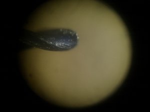 IMG_20160324_084316.jpg (2666 просмотров) <a class='original' href='./download/file.php?id=128546&mode=view' target=_blank>Загрузить оригинал (508.21 КБ)</a>