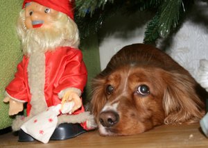 IMG_9853_crop.jpg (1755 просмотров) <a class='original' href='https://cnc-club.ru/forum/download/file.php?id=128731&mode=view' target=_blank>Загрузить оригинал (400.66 КБ)</a>