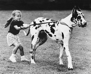 998615_10200769798862297_1503213572_n.jpg (3383 просмотра) <a class='original' href='./download/file.php?id=129477&mode=view' target=_blank>Загрузить оригинал (128.06 КБ)</a>