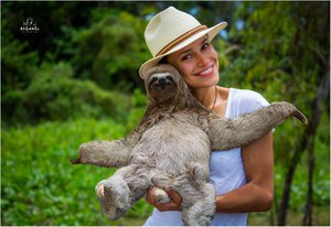 26758354_1707039129334296_56746788159894135_o.jpg (3877 просмотров) <a class='original' href='./download/file.php?id=129571&mode=view' target=_blank>Загрузить оригинал (201.66 КБ)</a>