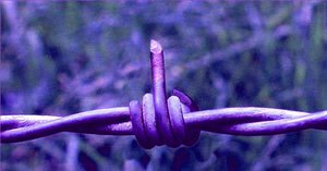 13935041_110943786017459_5082927492501052358_n.jpg (3393 просмотра) <a class='original' href='./download/file.php?id=130063&mode=view' target=_blank>Загрузить оригинал (26.81 КБ)</a>