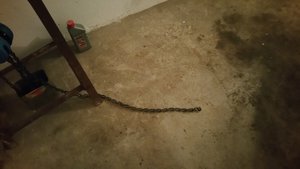 20180122_202049.jpg (2732 просмотра) <a class='original' href='./download/file.php?id=130765&mode=view' target=_blank>Загрузить оригинал (3.4 МБ)</a>