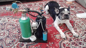 IMG_20180212_155029.jpg (3511 просмотров) <a class='original' href='./download/file.php?id=132240&mode=view' target=_blank>Загрузить оригинал (2.03 МБ)</a>