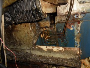 DSC04766 (Копировать).JPG (1453 просмотра) <a class='original' href='./download/file.php?id=133228&mode=view' target=_blank>Загрузить оригинал (473.26 КБ)</a>