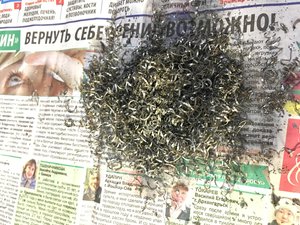 IMG_0226-06-03-18-12-51.JPG (3394 просмотра) <a class='original' href='./download/file.php?id=133873&mode=view' target=_blank>Загрузить оригинал (2.63 МБ)</a>