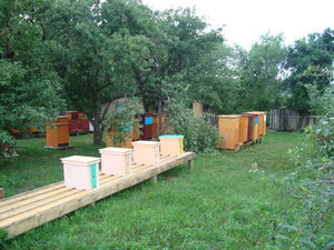 На Пасеке в рабочем состоянии. (8124 просмотра) <a class='original' href='./download/file.php?id=134113&mode=view' target=_blank>Загрузить оригинал (2.09 МБ)</a>