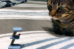 29180454.315102.5507.jpeg (4603 просмотра) <a class='original' href='./download/file.php?id=134164&mode=view' target=_blank>Загрузить оригинал (88.43 КБ)</a>