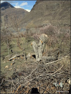 IMG_6954.JPG (5714 просмотров) <a class='original' href='./download/file.php?id=134923&mode=view' target=_blank>Загрузить оригинал (520.5 КБ)</a>