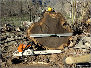 IMG_6956.JPG (5714 просмотров) <a class='original' href='./download/file.php?id=134925&mode=view' target=_blank>Загрузить оригинал (569.88 КБ)</a>