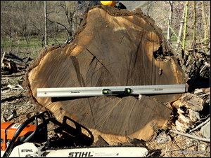 IMG_6957.JPG (5714 просмотров) <a class='original' href='./download/file.php?id=134926&mode=view' target=_blank>Загрузить оригинал (523.25 КБ)</a>