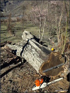 IMG_6959.JPG (5714 просмотров) <a class='original' href='./download/file.php?id=134928&mode=view' target=_blank>Загрузить оригинал (569.58 КБ)</a>