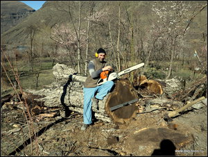 IMG_6960.JPG (5714 просмотров) <a class='original' href='./download/file.php?id=134929&mode=view' target=_blank>Загрузить оригинал (552.21 КБ)</a>