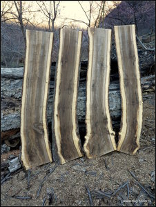 IMG_6962.JPG (5714 просмотров) <a class='original' href='./download/file.php?id=134931&mode=view' target=_blank>Загрузить оригинал (463.38 КБ)</a>