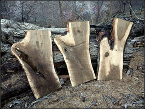 IMG_6963.JPG (5714 просмотров) <a class='original' href='./download/file.php?id=134932&mode=view' target=_blank>Загрузить оригинал (488.05 КБ)</a>