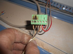 гребенка.jpg (1021 просмотр) <a class='original' href='./download/file.php?id=135283&mode=view' target=_blank>Загрузить оригинал (257.87 КБ)</a>