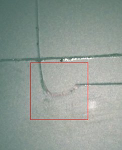 IMG_20180324_095139.jpg (1938 просмотров) <a class='original' href='./download/file.php?id=135457&mode=view' target=_blank>Загрузить оригинал (137.66 КБ)</a>