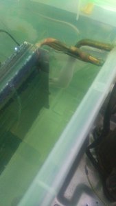 3e91456a-0e1c-4cd6-a2e6-c574433b382a.jpg (4770 просмотров) <a class='original' href='./download/file.php?id=135520&mode=view' target=_blank>Загрузить оригинал (60.69 КБ)</a>