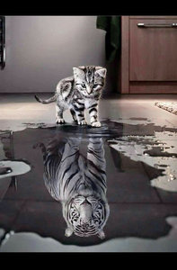 image.jpeg (4075 просмотров) <a class='original' href='./download/file.php?id=135760&mode=view' target=_blank>Загрузить оригинал (40.51 КБ)</a>