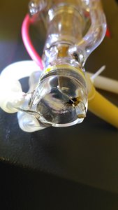 IMG_20180403_185252.jpg (1640 просмотров) <a class='original' href='./download/file.php?id=136352&mode=view' target=_blank>Загрузить оригинал (1.66 МБ)</a>