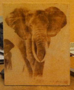 слон (4495 просмотров) <a class='original' href='./download/file.php?id=13719&mode=view' target=_blank>Загрузить оригинал (437.98 КБ)</a>