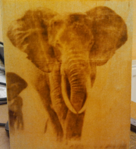 слон ближе (4495 просмотров) <a class='original' href='./download/file.php?id=13720&mode=view' target=_blank>Загрузить оригинал (2.89 МБ)</a>