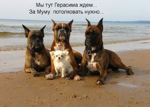 BbkLCHOZxVg.jpg (3909 просмотров) <a class='original' href='./download/file.php?id=138719&mode=view' target=_blank>Загрузить оригинал (59.47 КБ)</a>