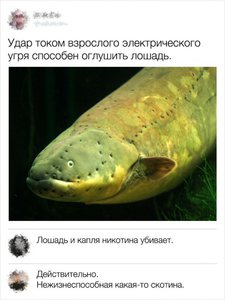 commentarii_08.jpg (3905 просмотров) <a class='original' href='./download/file.php?id=138720&mode=view' target=_blank>Загрузить оригинал (96.31 КБ)</a>