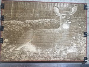 71C7C446-0A51-4C46-98F1-CC418E91F600.jpeg (2574 просмотра) <a class='original' href='./download/file.php?id=138790&mode=view' target=_blank>Загрузить оригинал (3.65 МБ)</a>