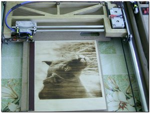 лев.jpg (2535 просмотров) <a class='original' href='./download/file.php?id=139389&mode=view' target=_blank>Загрузить оригинал (211.91 КБ)</a>