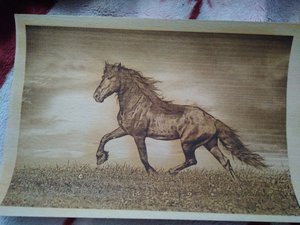 IMG_20170924_104442.jpg (2445 просмотров) <a class='original' href='./download/file.php?id=139492&mode=view' target=_blank>Загрузить оригинал (4.08 МБ)</a>