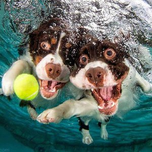 лорп.jpg (3463 просмотра) <a class='original' href='./download/file.php?id=139527&mode=view' target=_blank>Загрузить оригинал (153.4 КБ)</a>