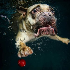 аряы.jpg (3463 просмотра) <a class='original' href='./download/file.php?id=139528&mode=view' target=_blank>Загрузить оригинал (84.38 КБ)</a>