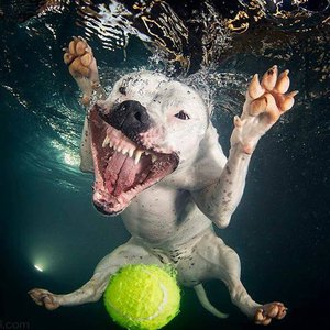 ьон.jpg (3463 просмотра) <a class='original' href='./download/file.php?id=139529&mode=view' target=_blank>Загрузить оригинал (131.17 КБ)</a>