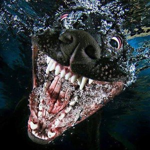 орл.jpg (3463 просмотра) <a class='original' href='./download/file.php?id=139530&mode=view' target=_blank>Загрузить оригинал (101.05 КБ)</a>